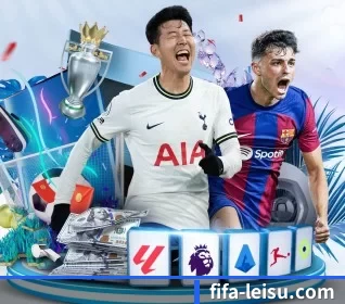 fifa-leisu.com的方向